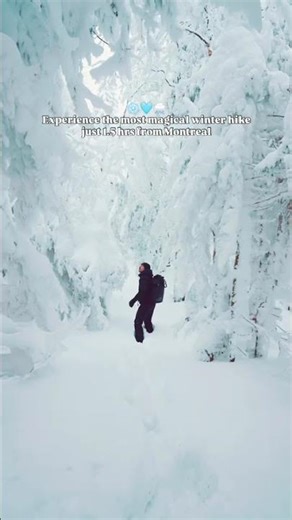 One of the most magical, low-effort winter hikes you need to try if you’re around Montreal / Québec