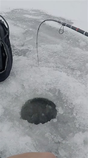 GIANT Fish Ice Fishing Lake Winnebago! #dwsoutdoors #icefishing #lakewinnebago | DWS Outdoors