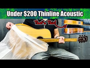 FireFly GT01-E Thinline Acoustic Guitar Review Unboxing