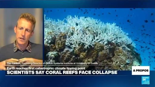 Coral reefs cross survival limit, in Earth's first catastrophic climate tipping point