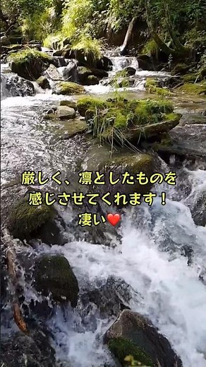 自然の音とHimari ヴィヴァルディ ヴァイオリン協奏曲集 「四季」夏1楽章 #ショート
