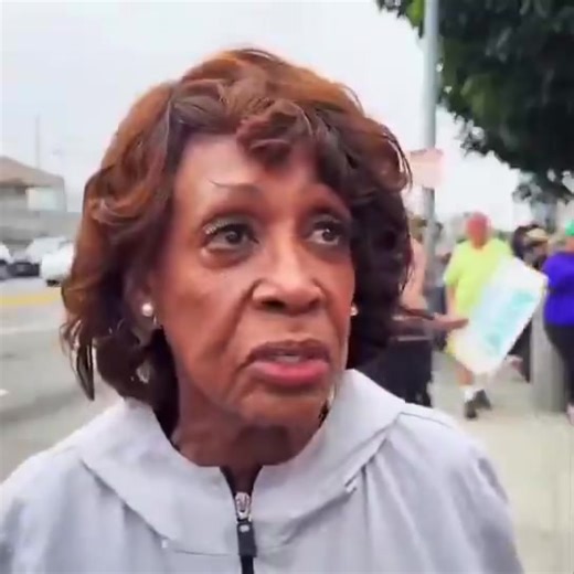 Maxine Waters just demanded the United States give CITIZENSHIP to illegals in Los Angeles | Terrence K Williams