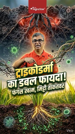 ट्राइकोडर्मा और PSB का सही उपयोग जानिए | Trichoderma & PSB Benefits in Soil Health | #shorts