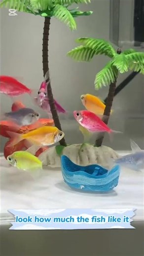 Mini Desktop Fish Tank Compact Aquarium with LED Light & Filter