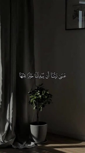 Q U R A N 🌸💖 (@katys.mom)’s videos with original sound - Q U R A N 🌸💖