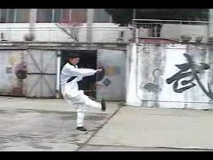 Wudang Kung Fu 伏虎拳 Wudang Fu Hu Quan
