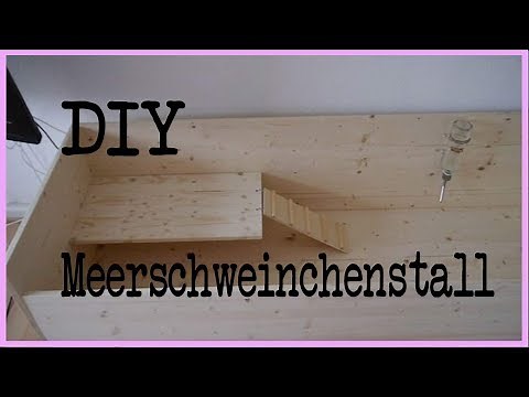 Projekt Meerschweinchen #2 | Stall bauen