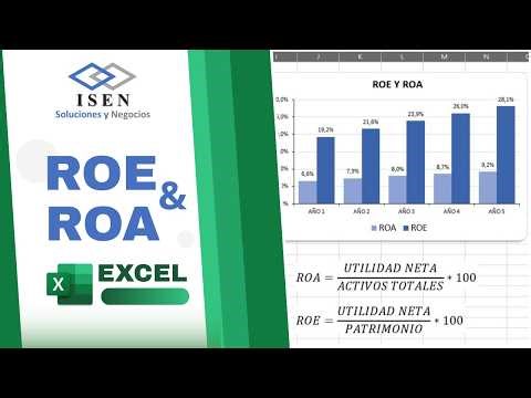 Master ROE and ROA in Excel: Evaluate your company's profitability | Updated