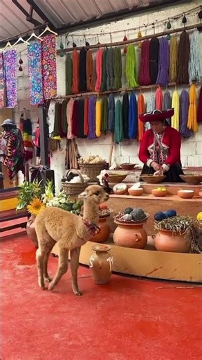 Discover the magic of Peru.