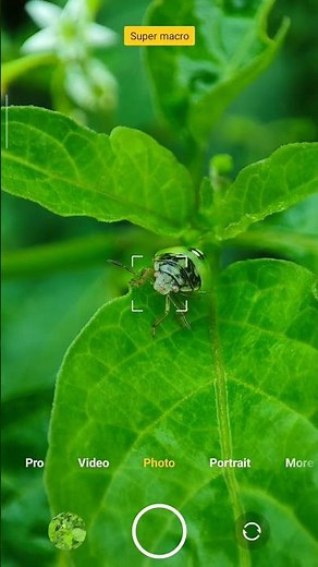 Mobile vs DSLR 😱 You Won’t Believe the Difference!”