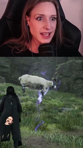 "Ingenting kan gå fel… eller? 🐐"