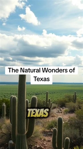 The Natural Wonders of Texas Texas Texas History Texas Politics Texas destinations Texas Oil History Alamo real story Texas independence History Tejano Contributions Texas Hidden Texas History Texas current events Texas facts Texas Culture Texas Law #texas #texasland #texaspride #texasculture #texasroadtrip