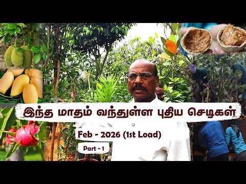 Tamil Nadu-ல Rare Fruit Varieties Grow பண்ண முடியுமா? 🤯 Nursery Experience சொல்றது இதுதான்!