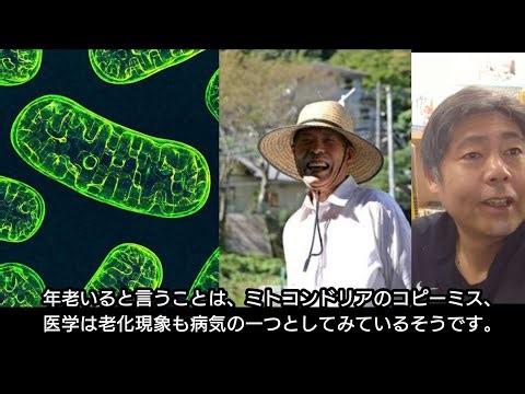 老化とミトコンドリア、コピーミスが起きている。