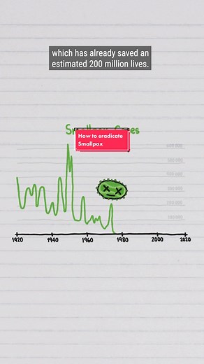 Steps to Eradicate Smallpox Successfully