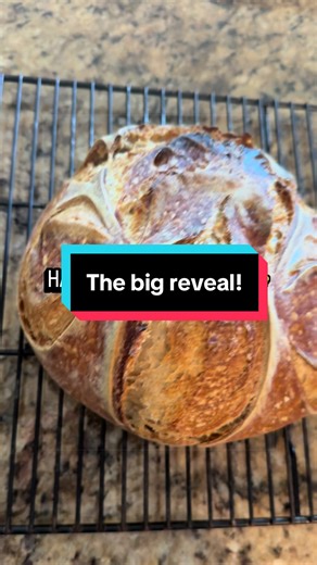 ok ok ok… she’s finally ready 😂🍞🍺 was it worth the wait or what?? 👀 the cheesy one is still in the oven… do we need a cut open reveal too?? 😏 it smells SO good 🤤 #sourdough #baking #stpaddysday #stpattys #bigreveal