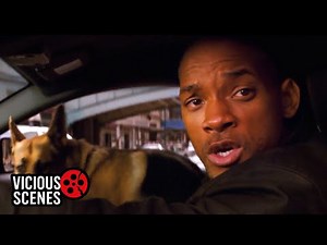 I Am Legend (2007) - Opening Scene | Vicious Scenes