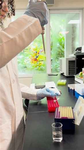 🔬 🌱Say hello to our amazing summer interns at Fairchild’s DNA Lab🧬! These aspiring scientists are diving into the world of DNA barcoding to uncover the mysteries of over 800 unknown species in our garden!! Summer Interns🫶: Neela Encinosa, Ty Yue, Sabine Clauser and Kinga Brihammar | Fairchild Tropical Botanic Garden