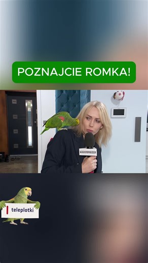 Romek - symbol Teleplotek! 🦜✨Wygadany, rozśpiewany i pełen charakteru. Podbił internet i serca widzów, a teraz oficjalnie dołącza do naszej ekipy! Zapraszamy na Teleplotki w soboty i niedziele o 18:20📺 #teleexpress #tvp #teleexpresstvp #informacje #ciekawostki #ciekawe #telewizjapolska #polska #dlaciebie