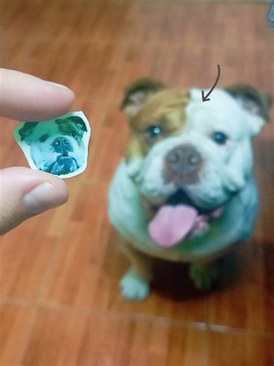 Necesitaba mostrar los tatuajes que hago con un modelo real asique quien mejor sino el modelo de familia 🐾 Rayito ⚡ ❤️ Denle un poco de amor #tatuajestemporales #papeleriacreativa #diseñosunicos #ideasparaemprender