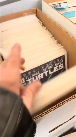 $50 STORAGE UNIT & I FOUND BOXES TMNT COMIC BOOK COLLECTION!