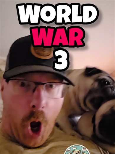 World War 3!!!!!!! How wars are started in the pug world 🌎 😳 😀 #pugs #pug #pugsoftiktok