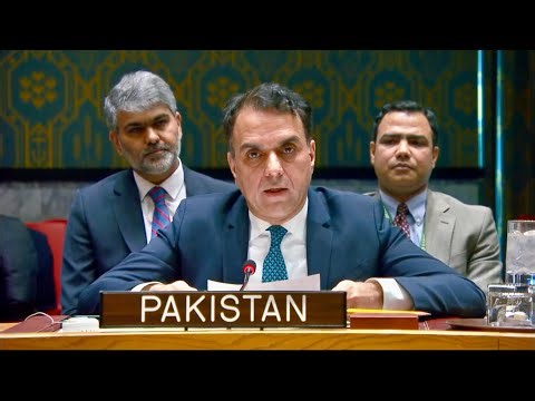 Pakistan Highlights Israeli Strikes as Key Obstacle to OPCW's Work in Syria at UN Security Council