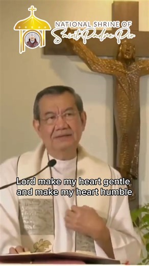 Fr. Jerry Orbos, SVD #sanpadrepioph #padrepioshrinebatangas #catholic #faith | Parish and National Shrine of Saint Padre Pio