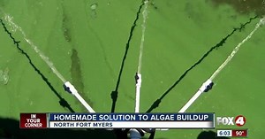 Homemade solution to algae buildup