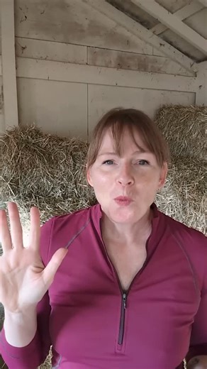 ProGroom and blogger on Instagram: "Teff hay for horses is a popular choice for those needing a forage option with low NSC levels. It’s often recommended for horses with metabolic concerns, including insulin resistance or a history of laminitis. Choosing the right hay can make a big difference in managing weight and maintaining hoof health."