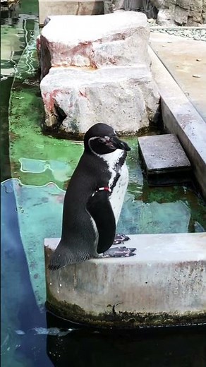 姫路市立水族館 #3shotsaquarium