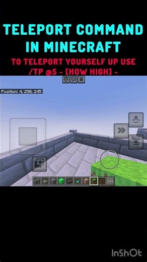 The Teleport Command in Minecraft! #minecraft #zarooratrishta #guessinggame #birdtrend