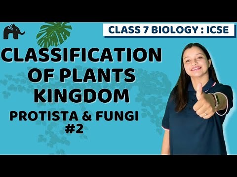 Classification of Plants Kingdom Class 7 ICSE Biology Chapter 2 | Selina | Protista & Fungi #2