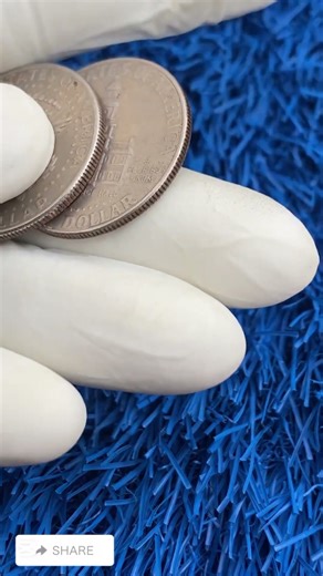 Collectors Pay Thousands for These Old $1 Coins!