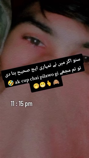 Discover the Palace of Versailles in Sargodha