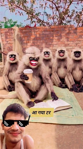 🤣 आ गया टर#comedy #viral #tshirtdesign #funny #shilpisaroja #comedyup5 #shortsfeed