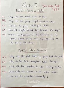 Chapter 3: Two Stories About FlyingPart I - His First Flight... | Filo