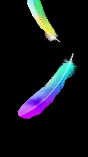 The dynamic falling of feathers