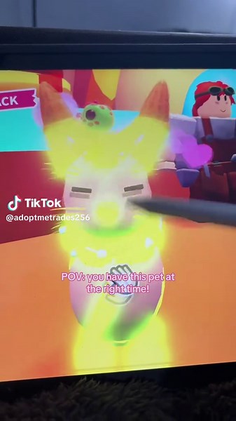 Collecting Offers for the Candy Hare in Adopt Me!