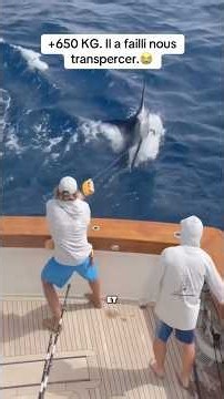 Monstres des mers : Un marlin de 550kg et un mérou géant ! 😱🐟#shorts