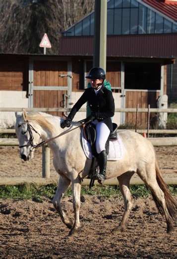 Les premiers sauts à cheval : conseils et encouragements