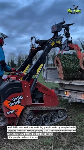 This Mini Skid Steer Lifts Giant Logs Easily | Forestry Machine Shorts