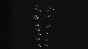 Small bubbles underwater - Free Stock Video