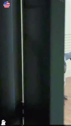 Dog Halloween Costumes for a Spooky Celebration