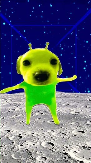 alien dog #memes #funny