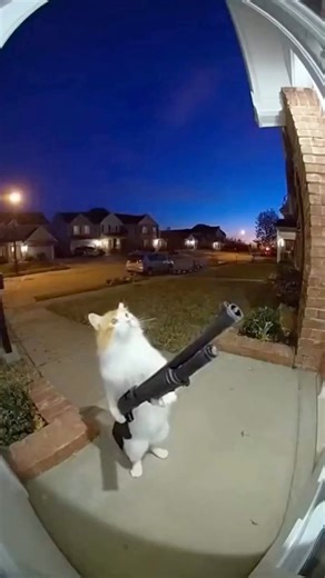 Guns are dangerous 😬 | Gary Wu