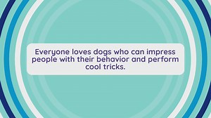 10 Basic Commands Your Dog Should Know