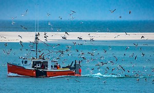 Health & Wellness - Fishing Partnership Support Services