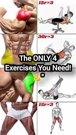 Master Your Muscles: The Ultimate 4-Step Routine! 🔥