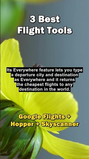3 Best Flight Tools